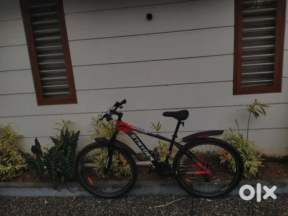 Tata Straider Krueger Cycle