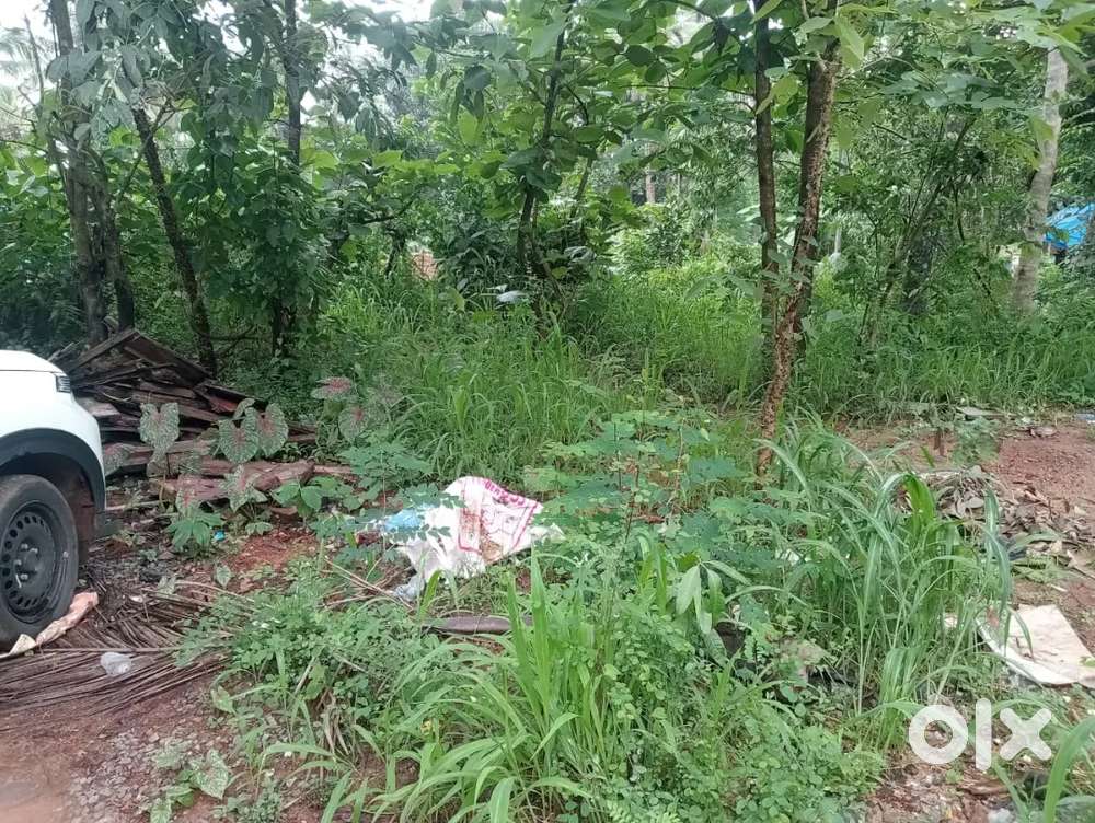 15 cents Dambel main road semi commercial 16 lac neg