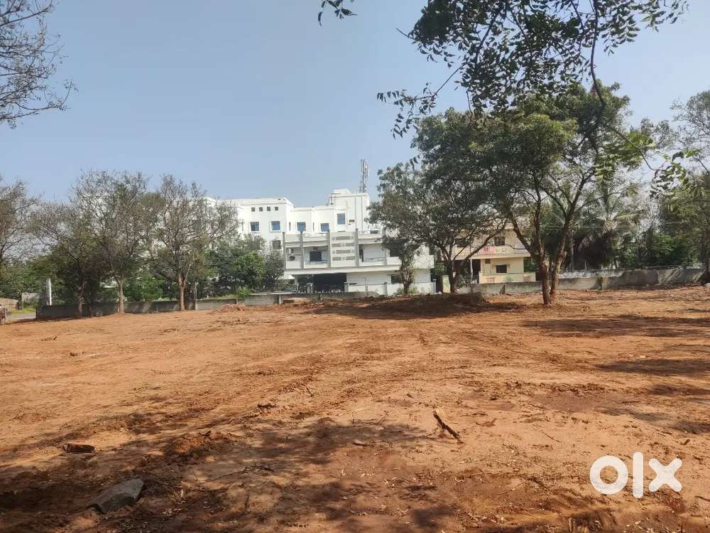 1000 SQ YADS COMERTIOL PLOT FOR SALE WARAGAL HIGH WAY NARAPALLY