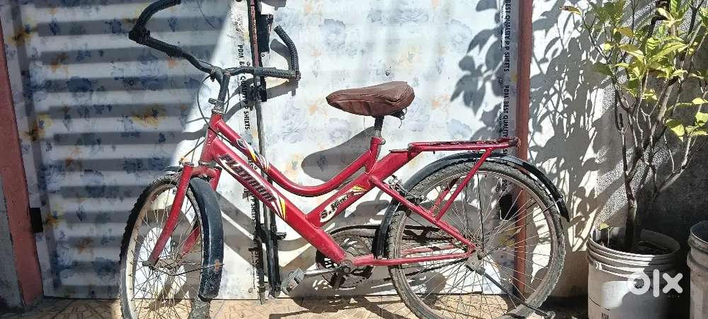 SK bikes platinum cycle