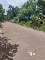 NEDUNGOLAM  10 SENT VILPANAYIKK