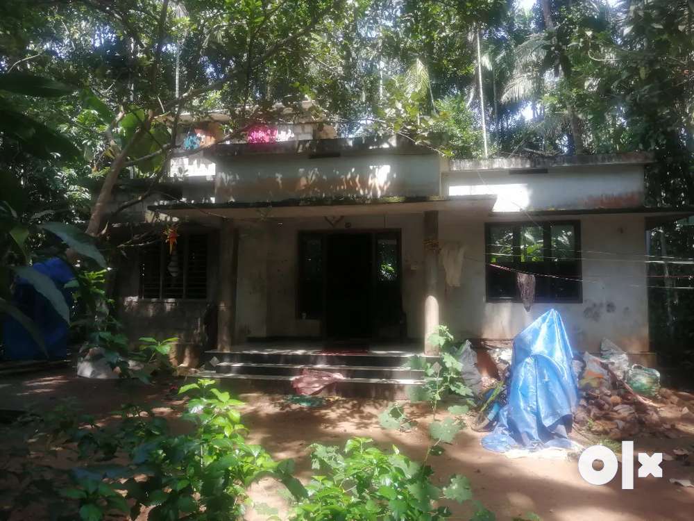 Pannithadam eyyal house selling