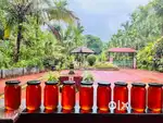 Pure and Original Honey from our field
