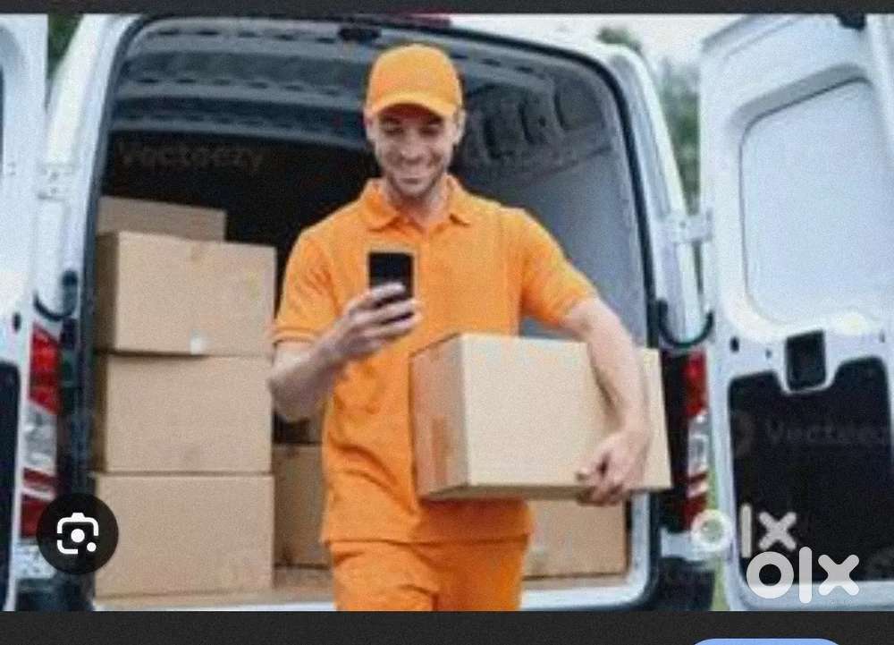 Parcel van helper