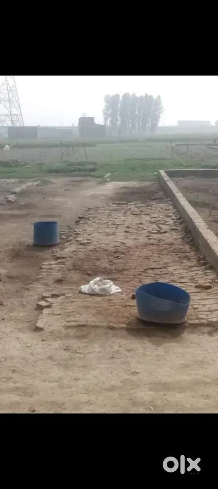 Amitabh Bachchan farmho