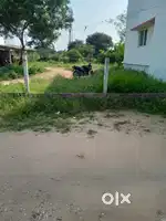 Land for sale in Mudhalipalayam pirivi