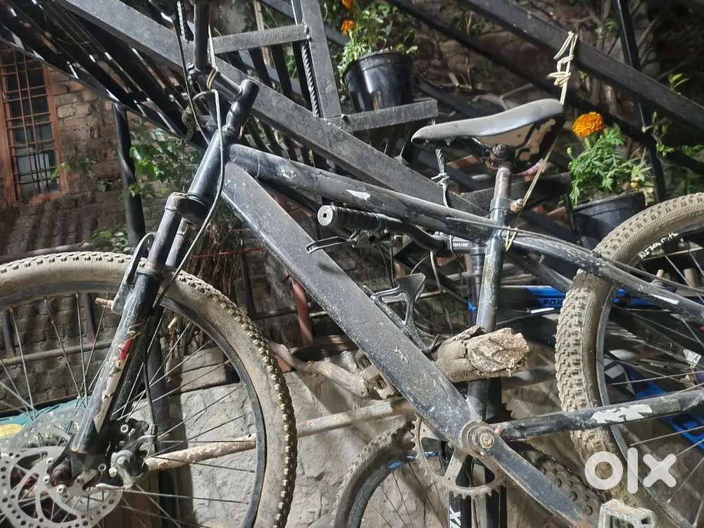 Tokyo cycle best company cycle ll bas chain or punchure lagana ha