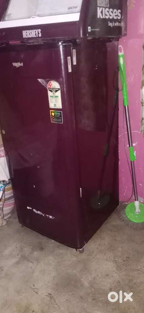 Available a normal size fridge in new condition