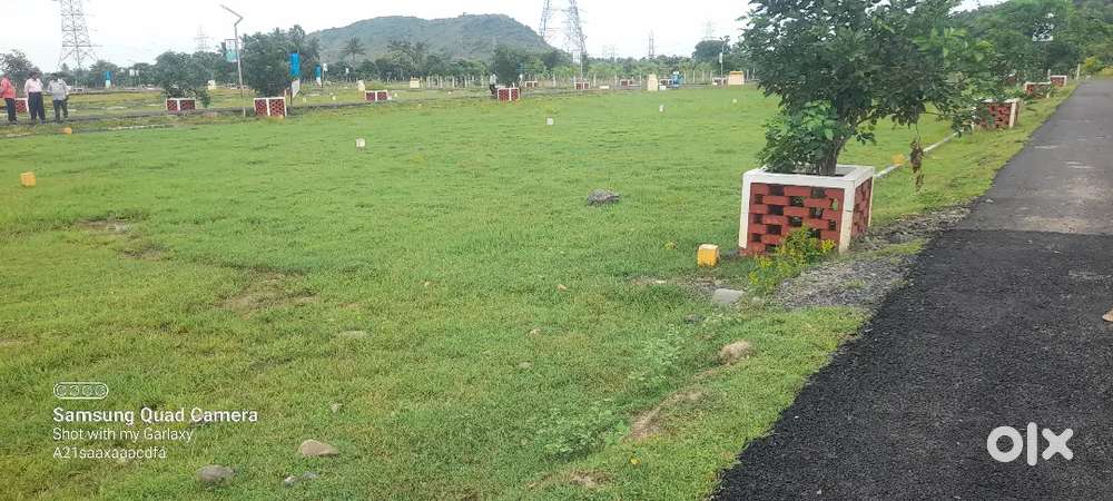 Good investment Dtcp approved plot for sale near Singaperumal koil
