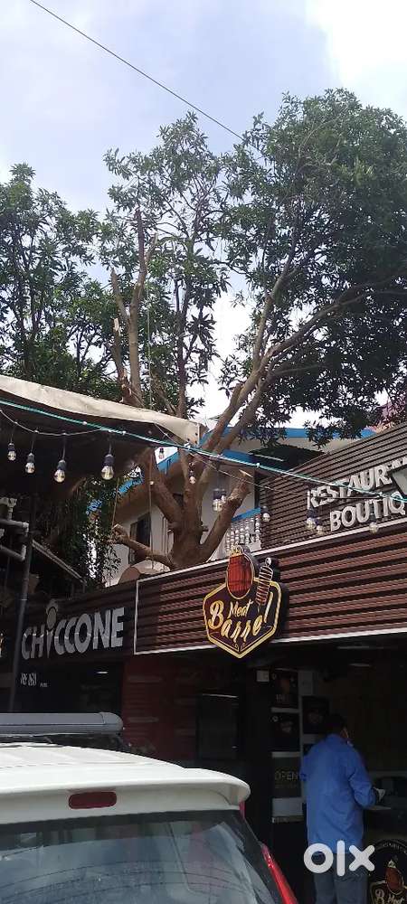 Service/pik up/clearance/washing/house keeping