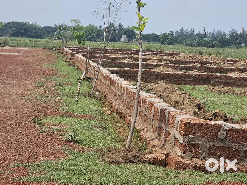 Individual Gharabari Plot for sale near Sundarapada- Jani road