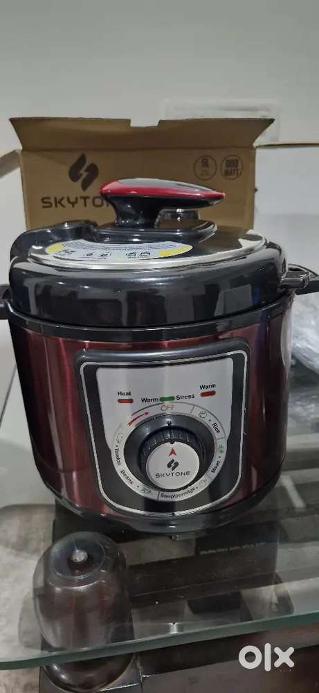 SKYTONE  electric multi purpose cooker