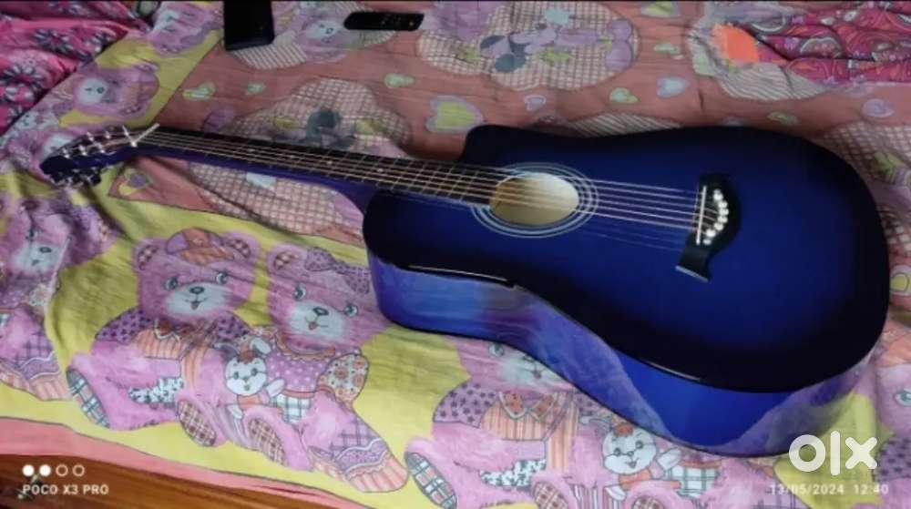 Blueberry guitar