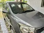 Celario - grey GJ15