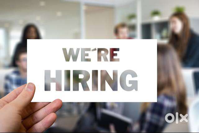 Sales field officer - Ernakulam city