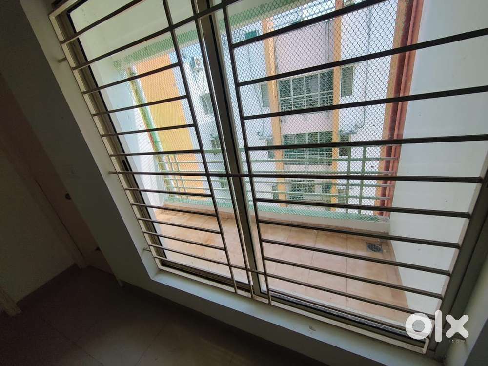 Looking for a roommate