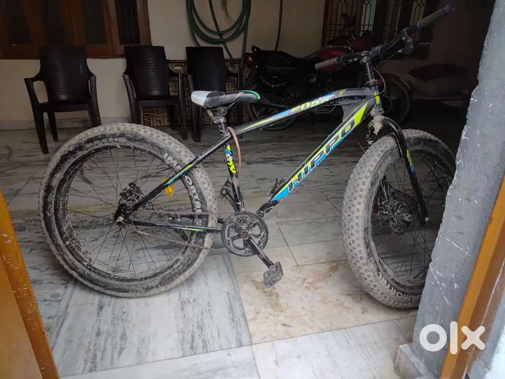 Fat bikes with  dual disbreak comfort bike