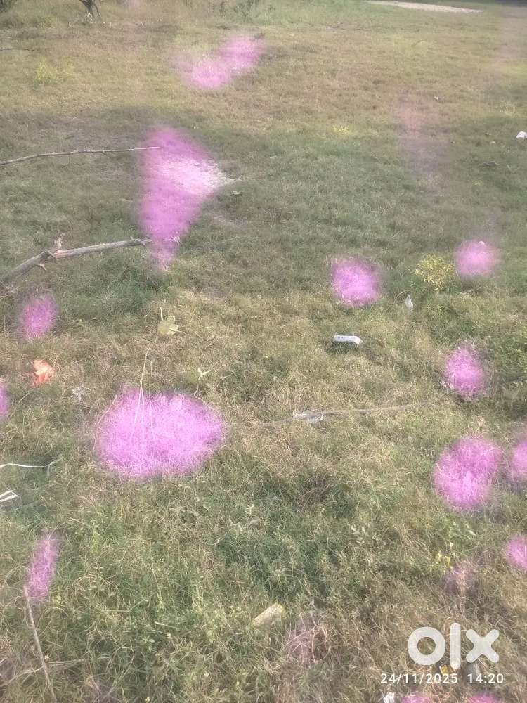 The plot are commercially and residentialy purpose both.