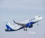 Indigo Airlines urgent hiring ground staff vacancies available