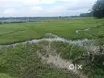 7 Bigha plot available for sale