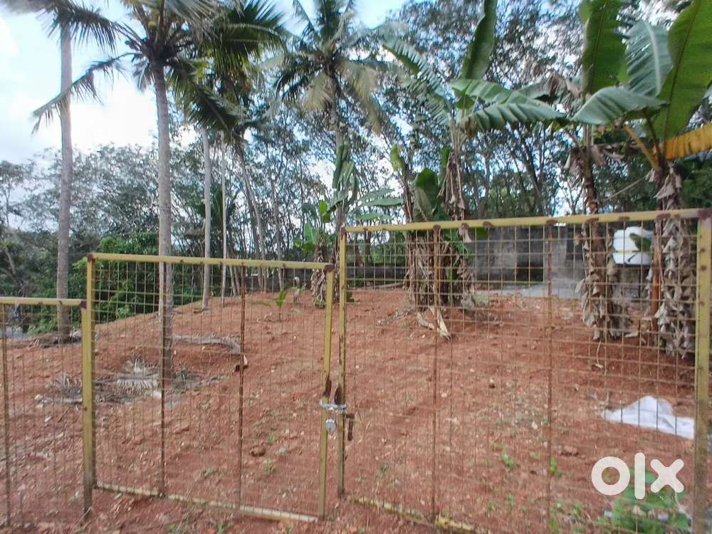 12 cent main road pothencode jn