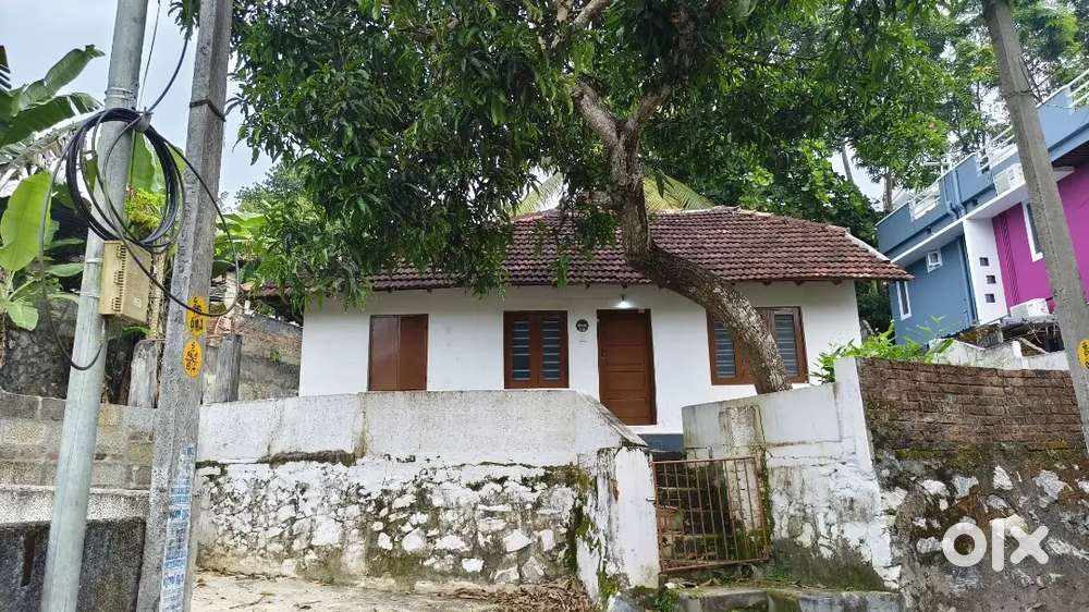 PRIME LOCATION BAPPUJI NAGAR 6.50 CENT HOUSE PLOT AVAILABLE ലോറി SITE
