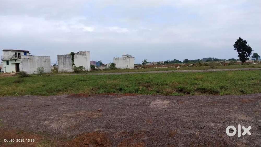 बोरिया खुर्द Anantra homes के पास  बसाहट के बीच में डायवर्टेड प्लॉट