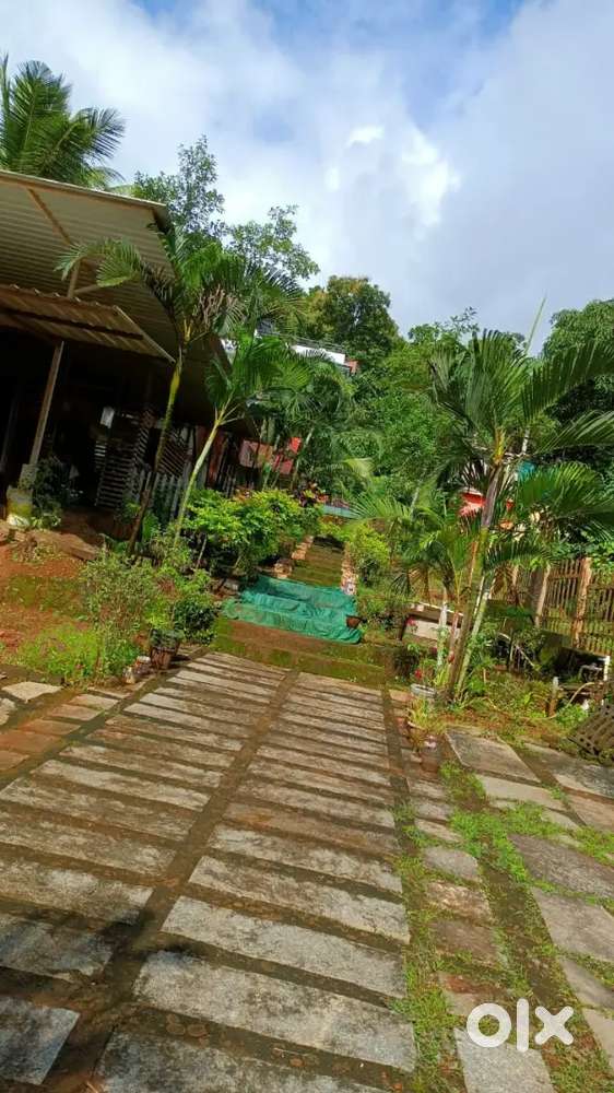 PG Rooms available on Twin/Four Sharing Basis