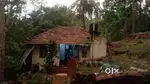 10 cent plot and house