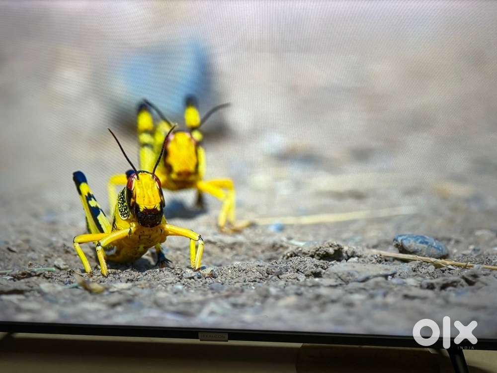 Iffalcon 40 inch full HD Android Smart LED TV