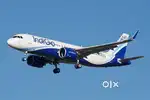 Jobs in indigo Airlines urgent hiring apply fast