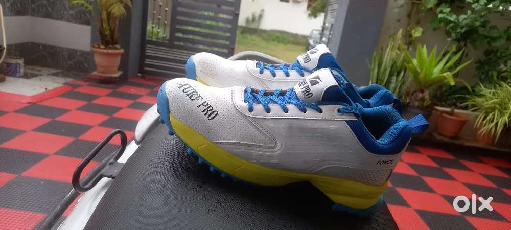 Cricket shoes