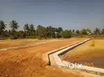तुरंत घर बनाने के लिए plot भाटा गांव । रायपुर सिटी । रेट 750 रुपये ।