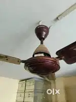 Ceiling Fan. Havells. Under warranty. Just 4 months old.