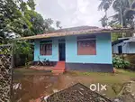 5Cent Land With Old House Near Kongorpilly Neericode