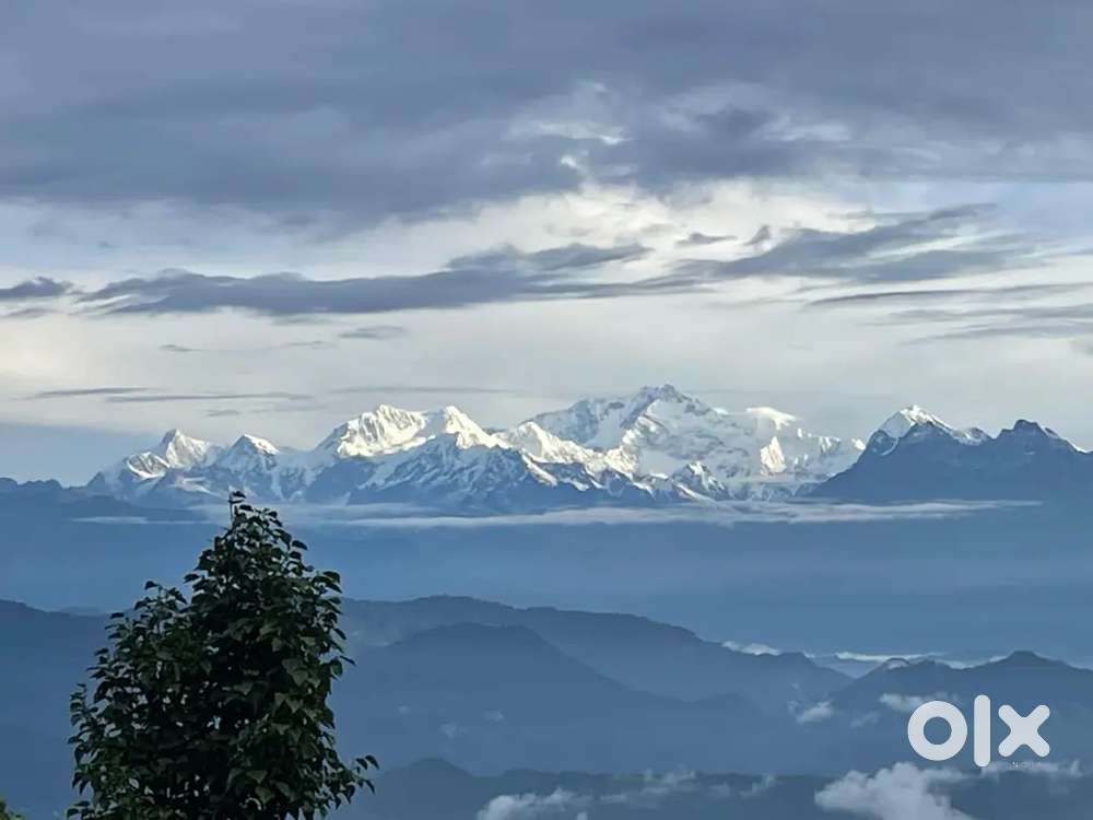 Travel Office job in Khaprail (No Joining fees)