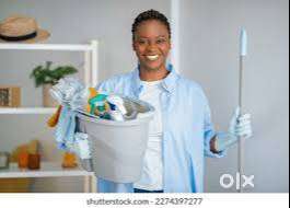 Goa- urgent female  maid  required for part time.