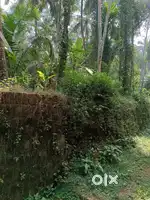 Plot for sale 15 cent