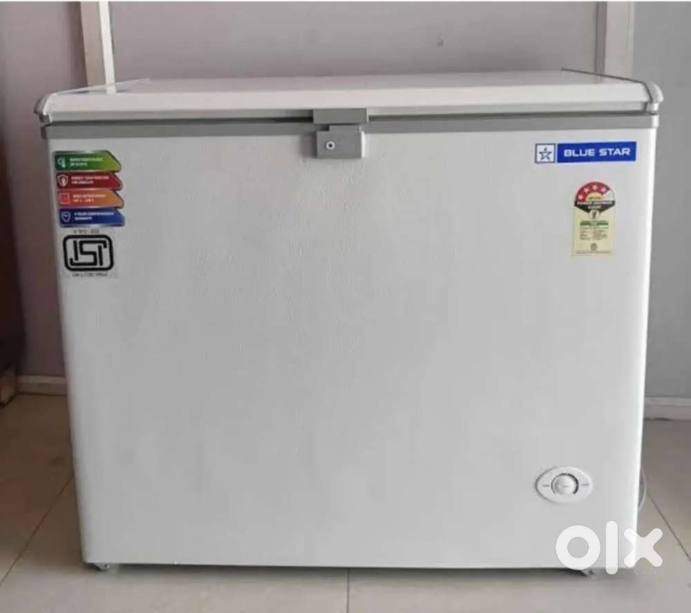 Blue Star Deep Fridge