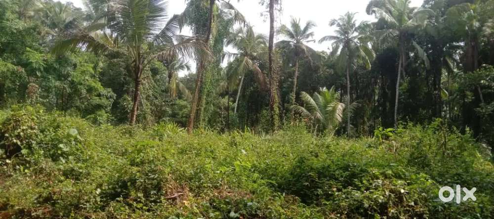 18 cent beautiful land for sale