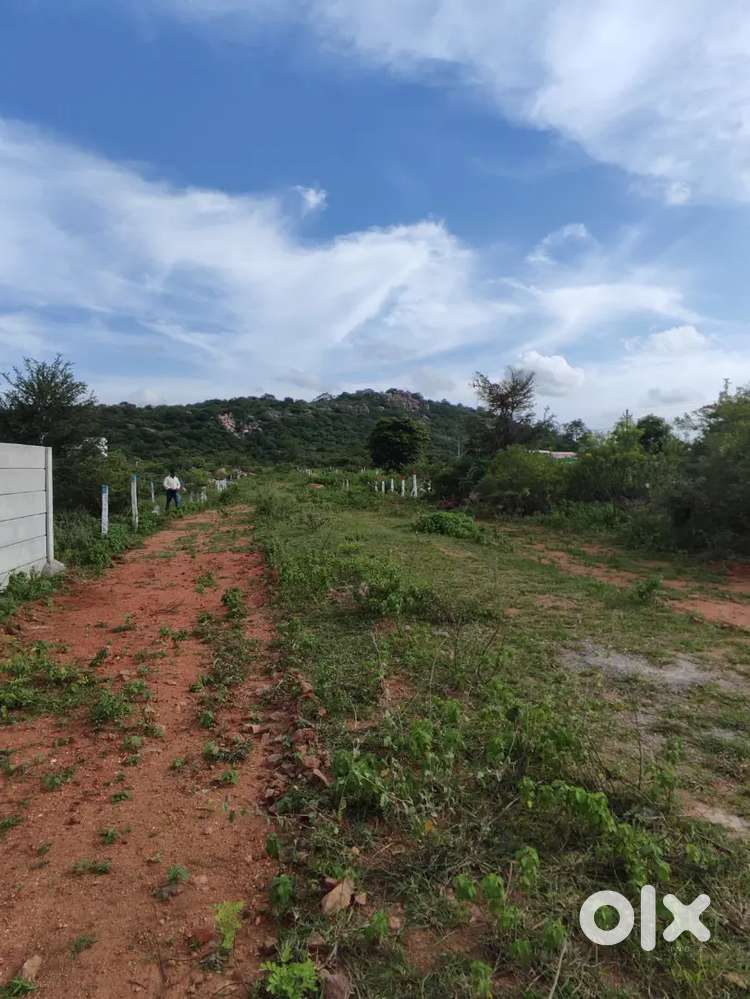 Bhavani nagar, pedda Amberpet,