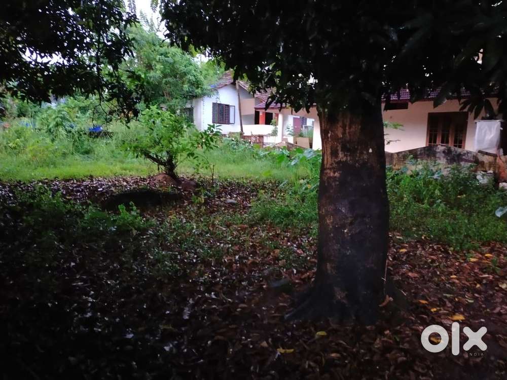 7 cent water frontage land for sale at Aluva Thuruth