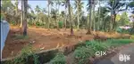 36cents of land at avinissery