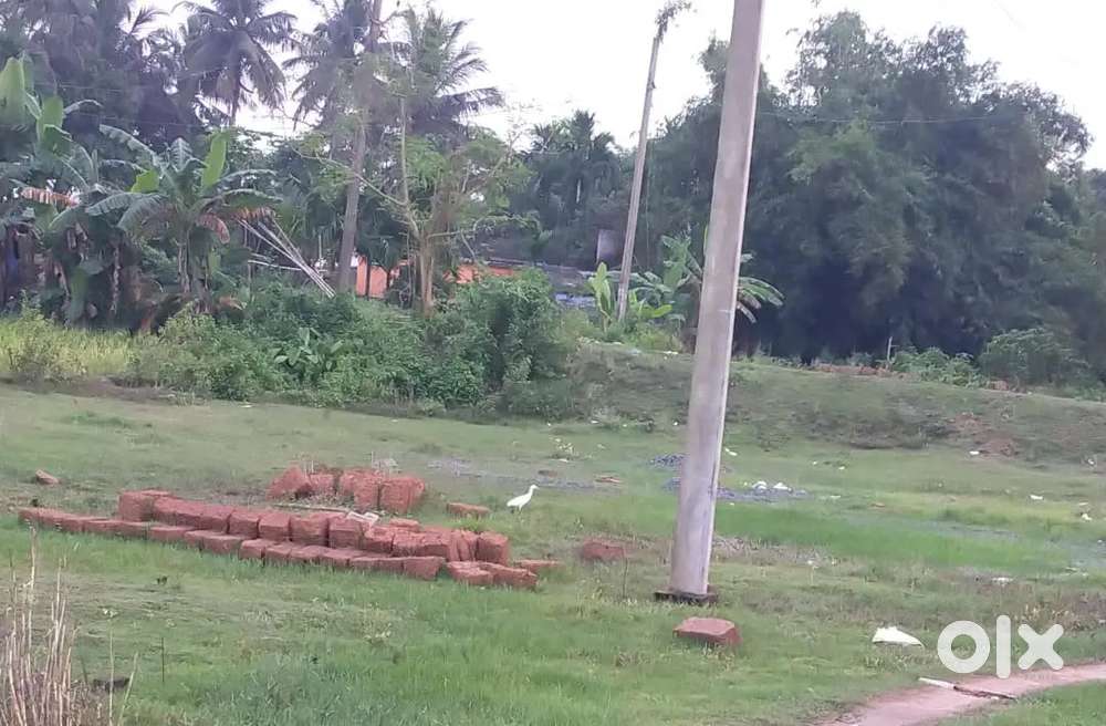 Plot for Sale at Bhingarpur, Hanspal