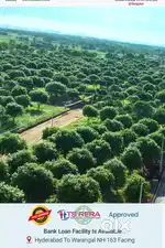RED SANDAL WOOD PLANITATION PROJECT PRIME LOCATION BESIDE RRR
