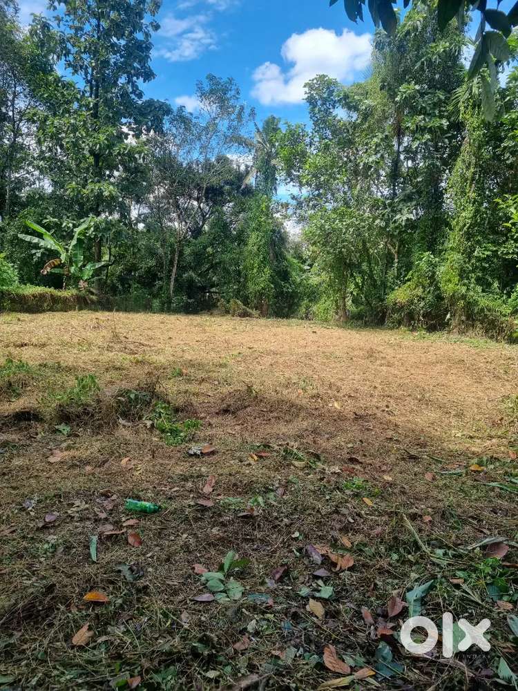 Plot for sale