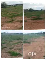 32.5 Gunta land for sale