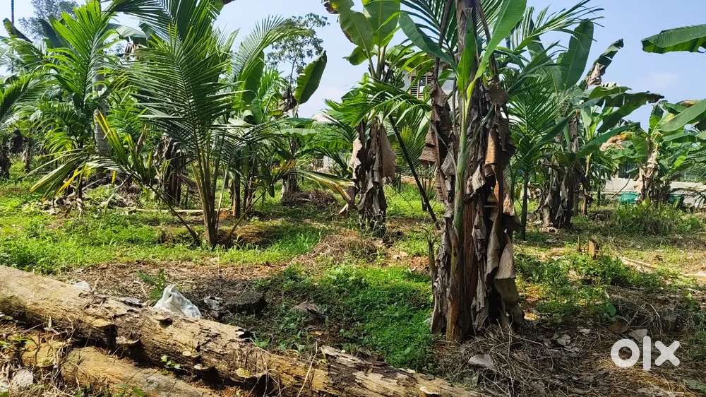 20 cent for Sale at Pravithanam,Pala