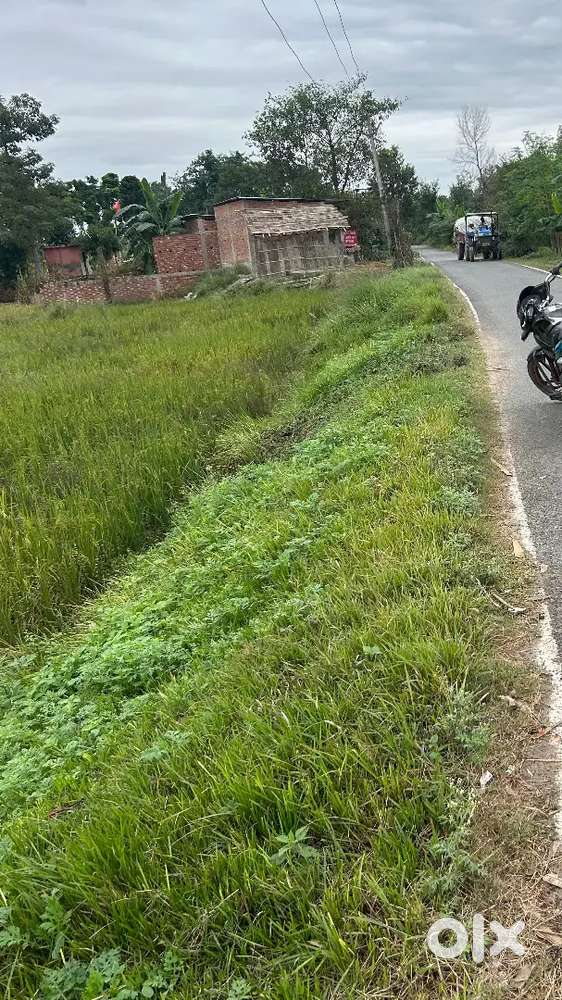 10 KHATTA JAMIN HAI KATA CHOWK WALE ROAD KALA PEACH ME HAI