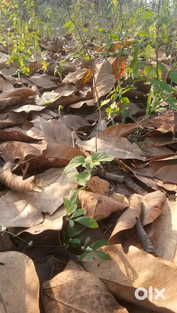 118 ghoont plot sale